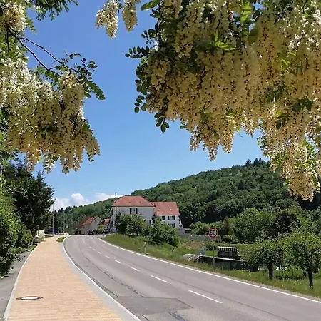 公寓 Tesla- Modernes Wohnen Fuer Geschaeftsaufenthalte Oder Ferien