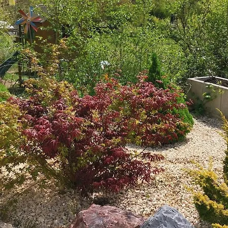 公寓 Tesla- Modernes Wohnen Fuer Geschaeftsaufenthalte Oder Ferien *