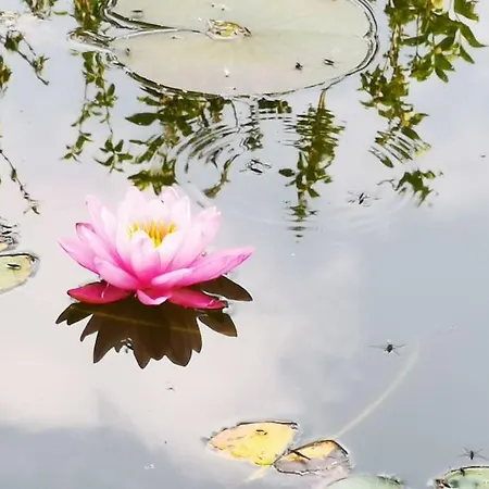 Tesla- Modernes Wohnen Fuer Geschaeftsaufenthalte Oder Ferien Klettgau