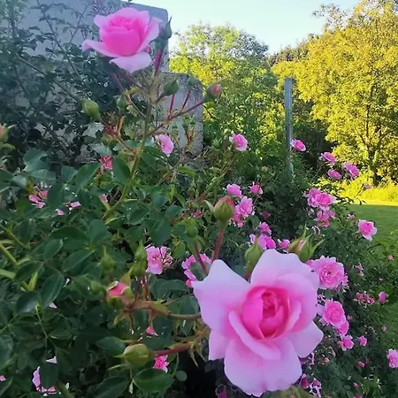 Tesla- Modernes Wohnen Fuer Geschaeftsaufenthalte Oder Ferien